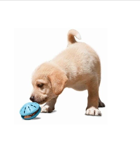 商品名称:premier 幼犬版扭扭飞碟漏食玩具 m号 品牌:     宠物玩具