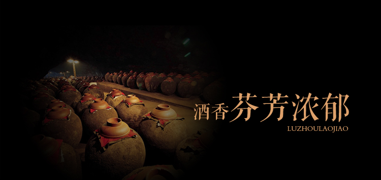 泸州老窖 52度U窖6鉴藏500ml/瓶