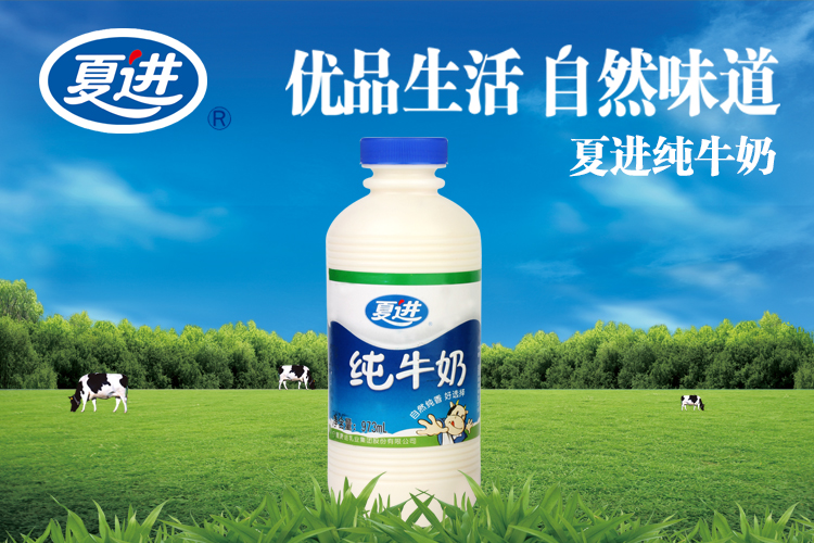 夏进纯牛奶973ml/瓶