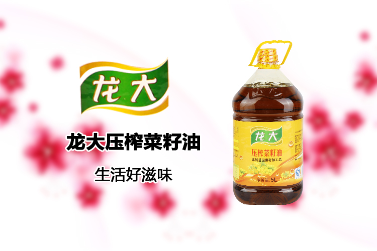 龙大压榨特香菜籽油5l/瓶