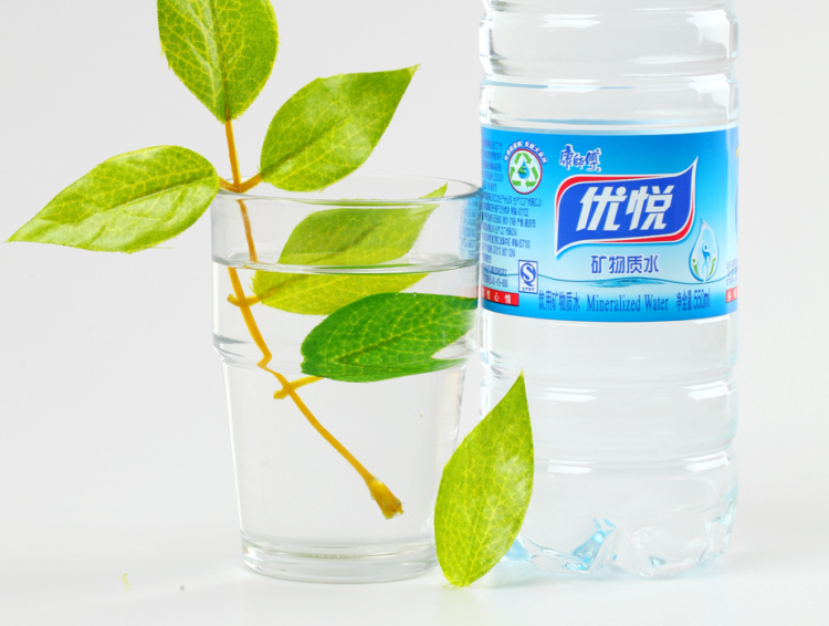 康师傅矿物质水 550ml*12瓶/组