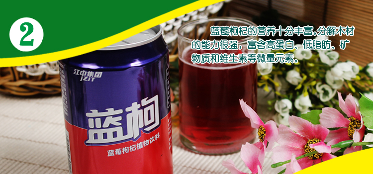 江中蓝莓枸杞植物饮料310ml/罐