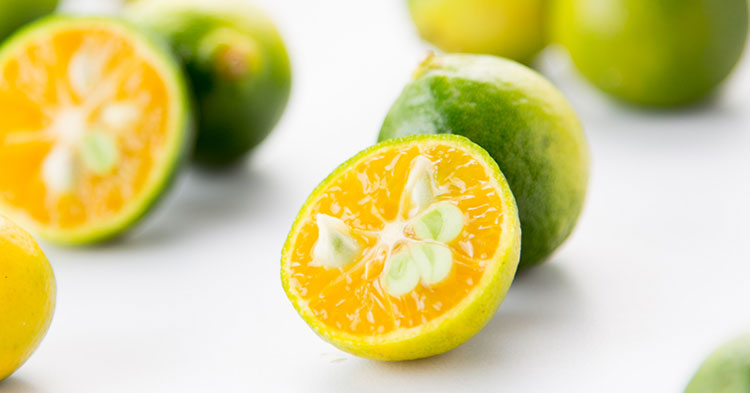 海南 小青柠 1斤装【价格,正品,报价】-飞牛网