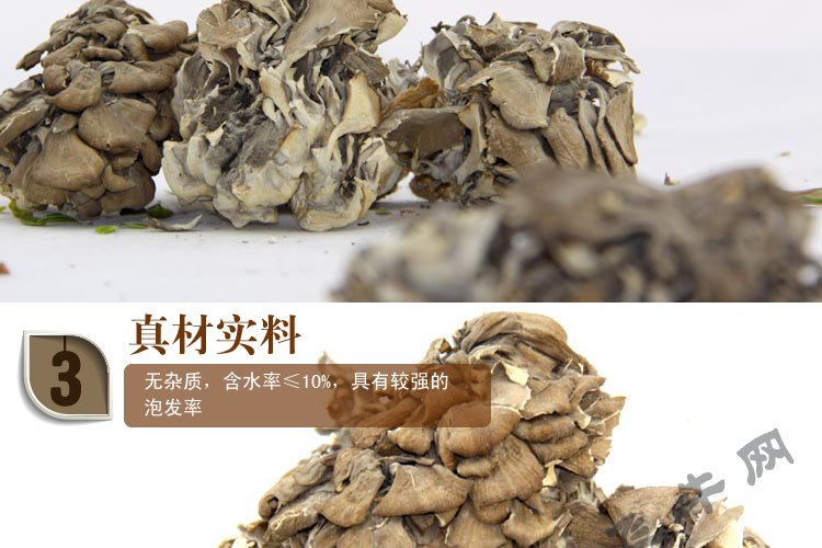 美国 舞茸,舞茸,鲜舞茸_大山谷图库