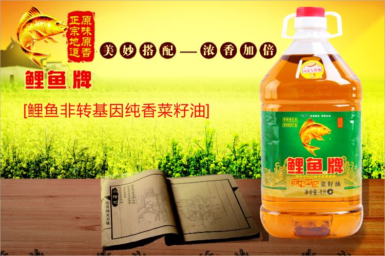 【金龙鱼食用油】鲤鱼压榨香菜籽油4l/瓶【图片 价格 品牌 报价】
