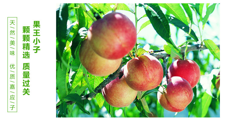 果王嘉应子(蜜饯)280g/袋